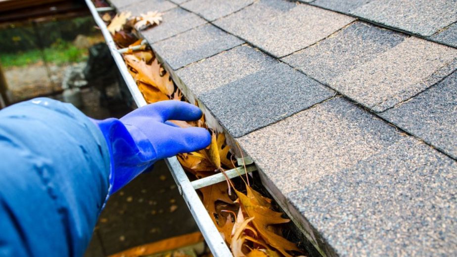 How Often Is The Gutter Cleaned?
