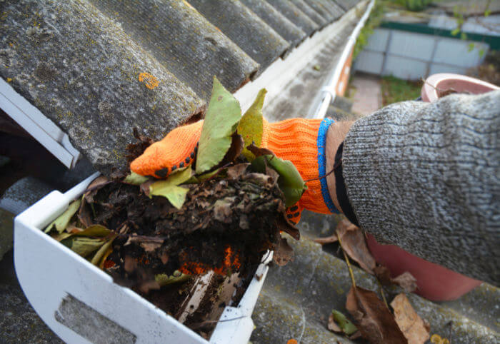 How Much Does Gutter Cleaning Cost?