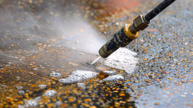 Professional Power Washing Service