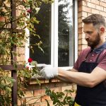 Best Time of Year for Pressure Washing in Richmond, Virginia